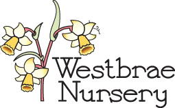 Westbrae Nursery logo