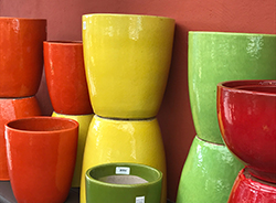 tall colorful pots at Westbrae