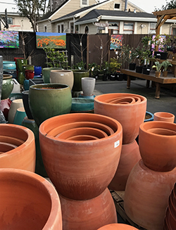 pots and paintings outside at Westbrae